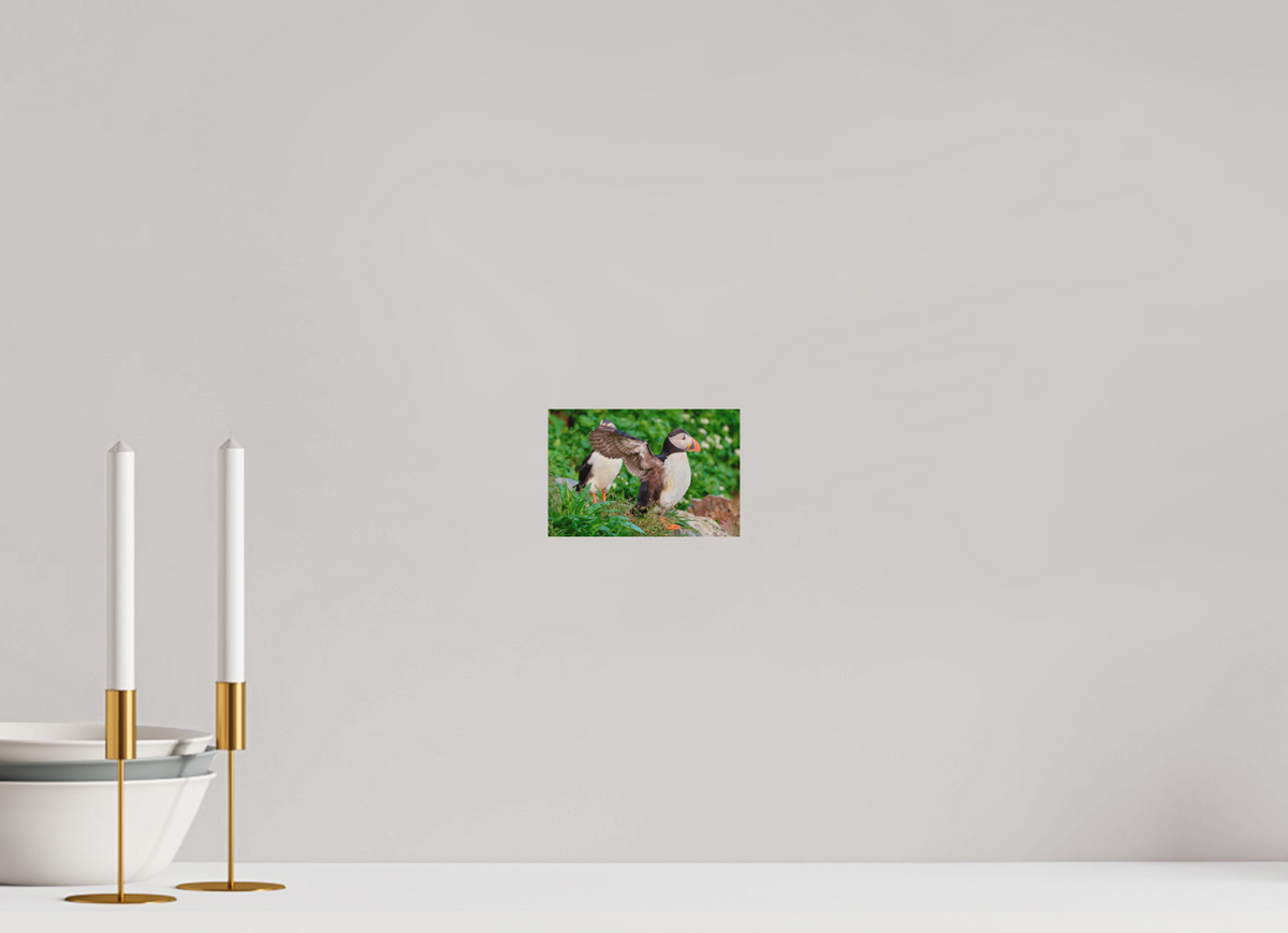 15 x 10 cm, Druck auf Holz Puffin 6
