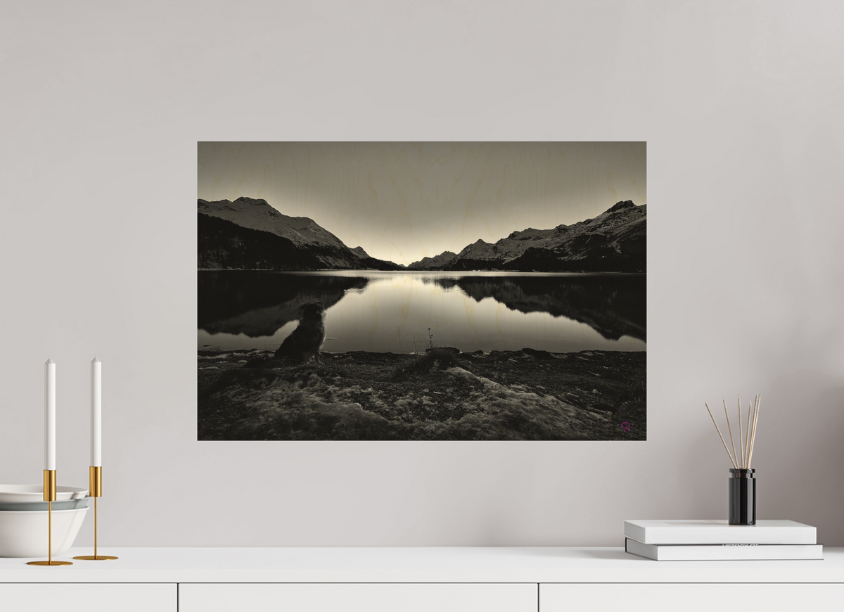 60 x 40 cm, Druck auf Holz Sils 16