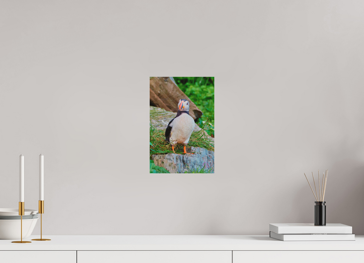 20 x 30 cm, Druck auf Holz Puffin8