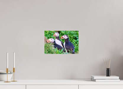 30 x 20 cm, Leinwand Textil Puffins 3