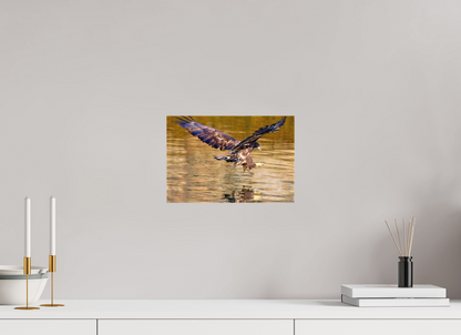 30 x 20 cm, Leinwand Textil Sea Eagle 3