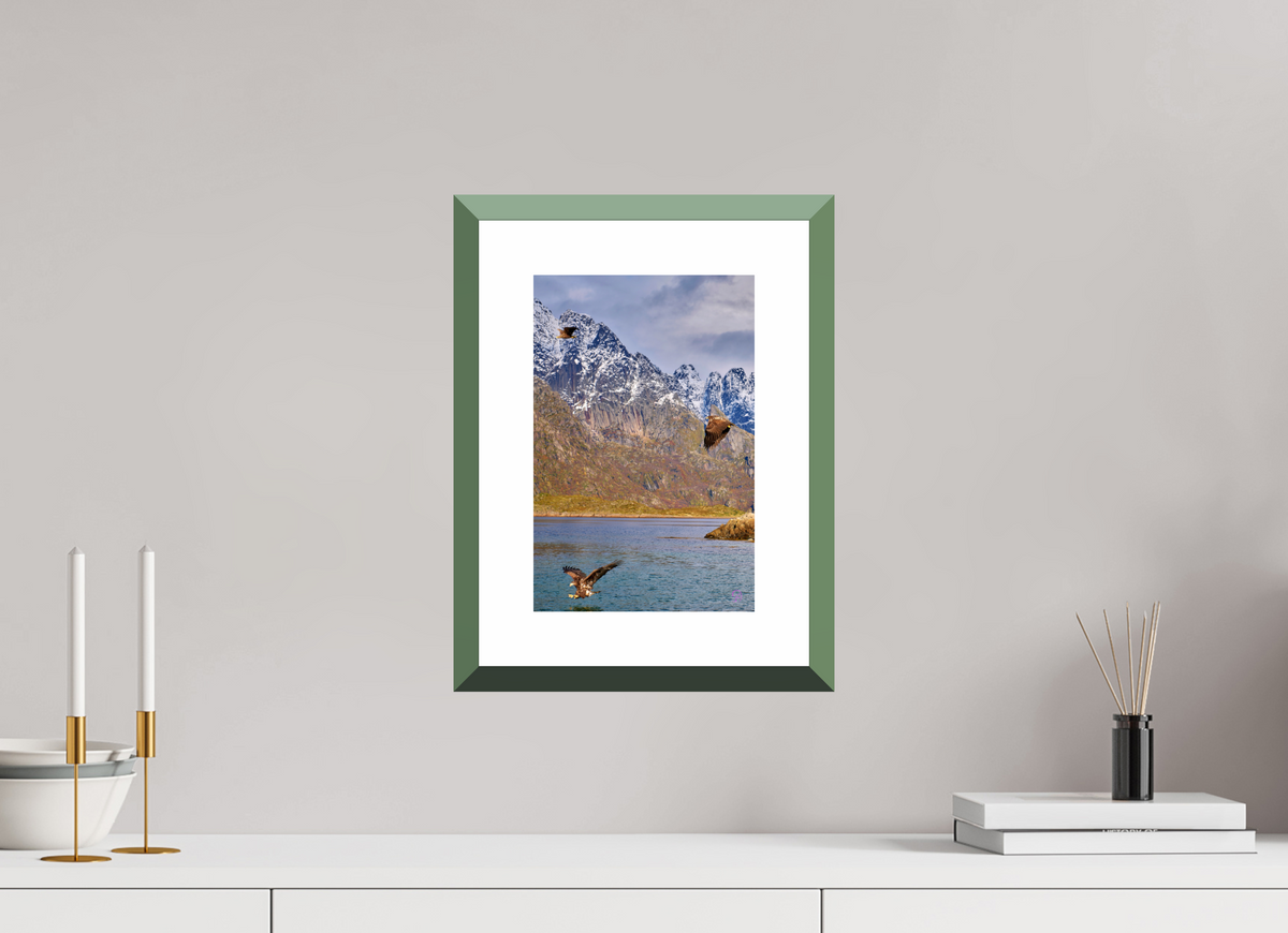 20 x 30 cm, Alu dibond, Rahmen grün, 5cm weissrand Sea Eagle 5