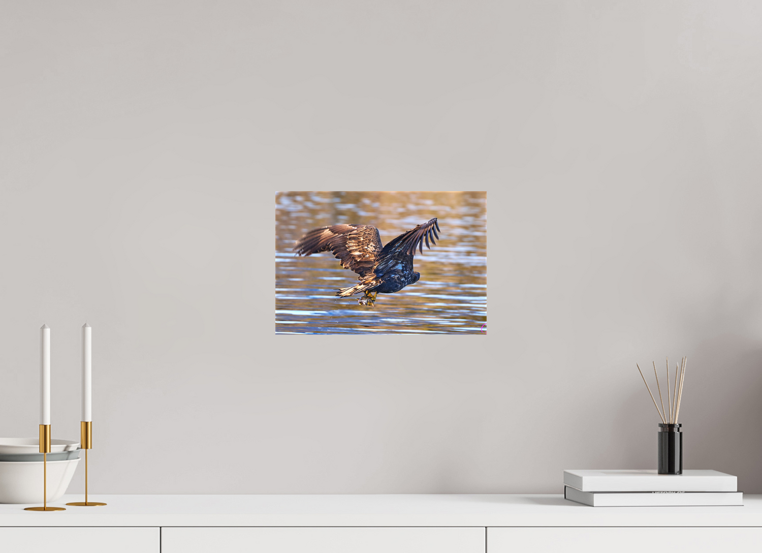 30 x 20 cm, Leinwand Textil Sea Eagle 1