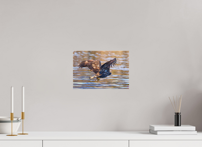 30 x 20 cm, Leinwand Textil Sea Eagle 1