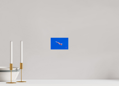 15 x 10 cm, Photo Print Under Acrylic Glass Patrouille Suisse 5