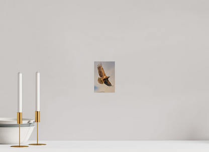 10 x 15 cm, Druck auf Holz Sea Eagle 6