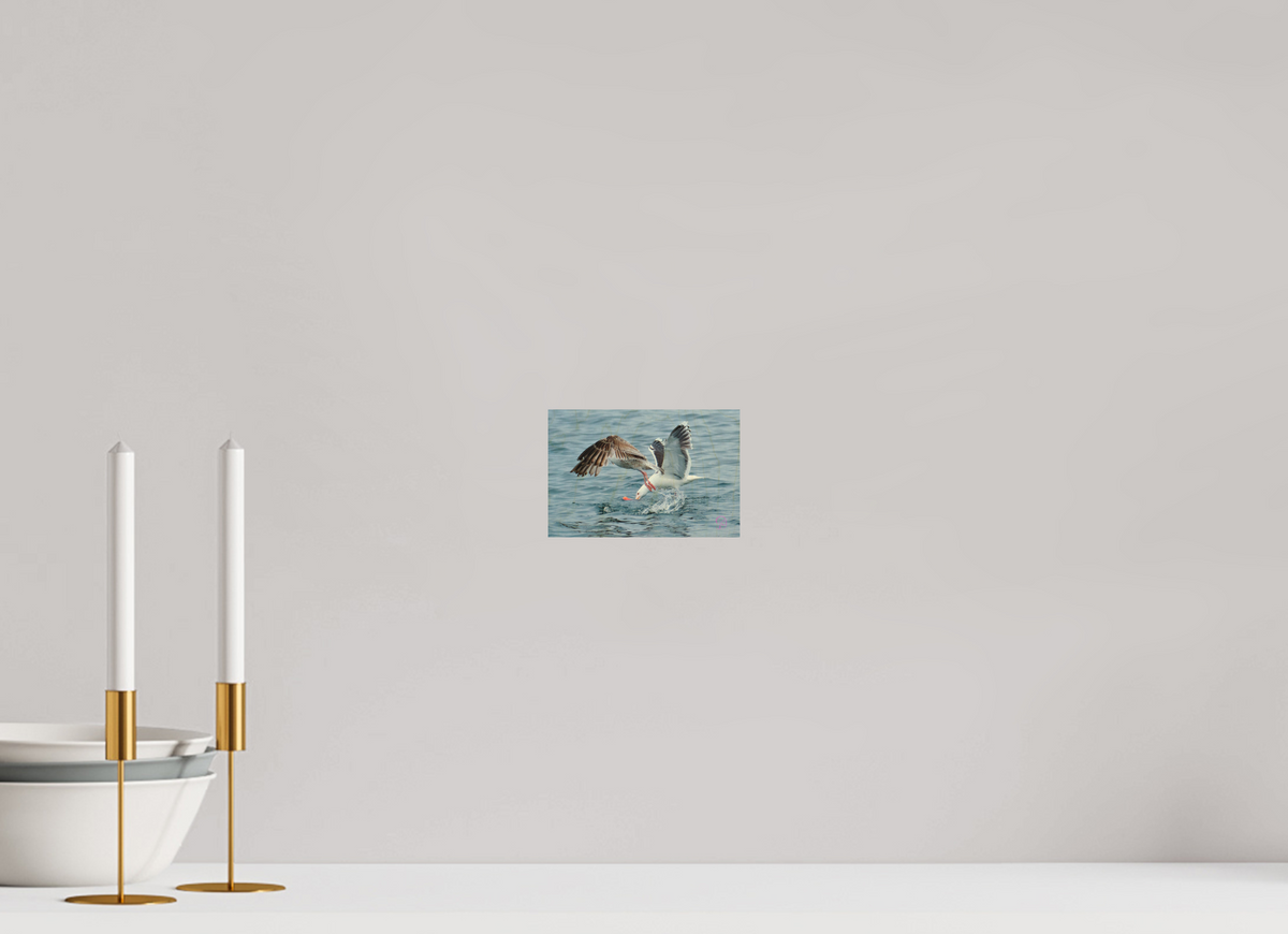 15 x 10 cm, Druck auf Holz Seagull