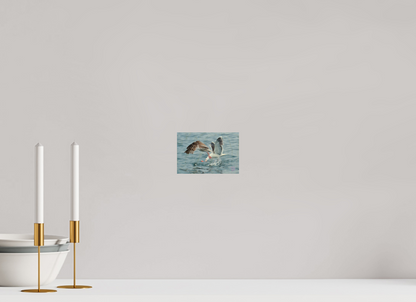 15 x 10 cm, Druck auf Holz Seagull