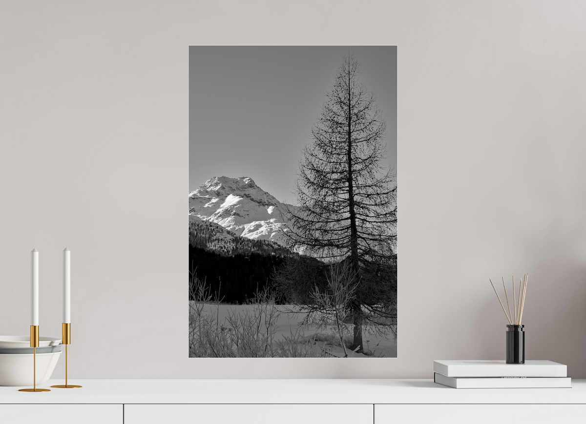 40 x 60 cm, Photo Print Under Acrylic Glass Sils 9