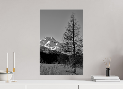 40 x 60 cm, Photo Print Under Acrylic Glass Sils 9