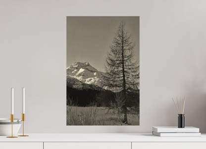 40 x 60 cm, Druck auf Holz Sils 9