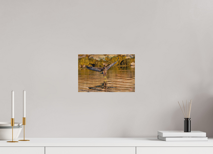 30 x 20 cm, Druck auf Holz Sea Eagle 2