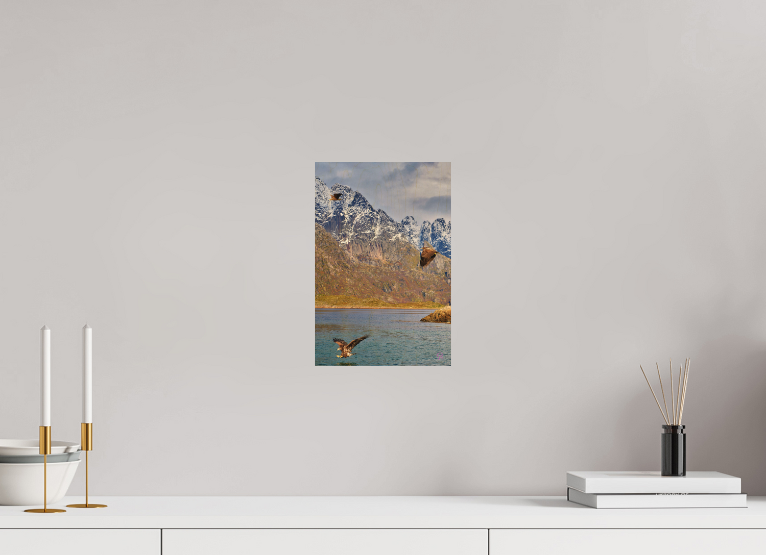 20 x 30 cm, Druck auf Holz Sea Eagle 5