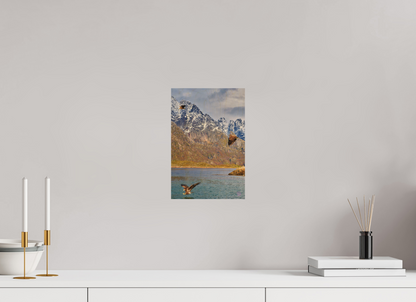 20 x 30 cm, Druck auf Holz Sea Eagle 5